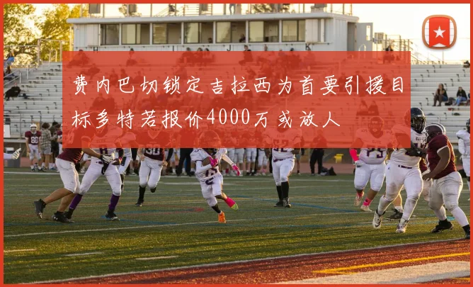 费内巴切锁定吉拉西为首要引援目标多特若报价4000万或放人