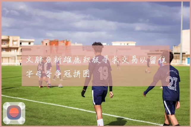 文胖分析雄鹿积极寻求交易以留住字母哥争冠拼图
